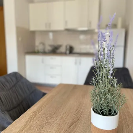 شقة Apartman Dunja *